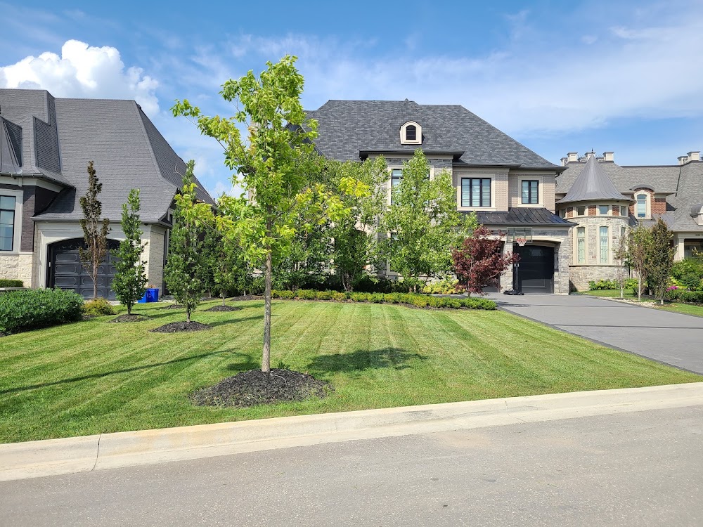 FD Landscaping