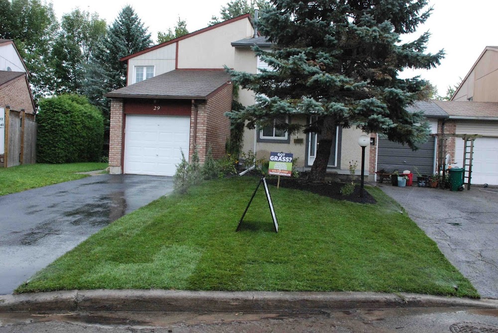 Instant Lawns
