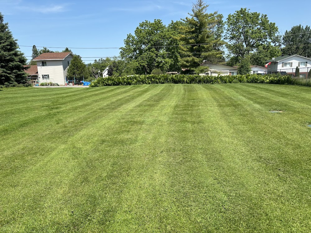 Lush Lawns