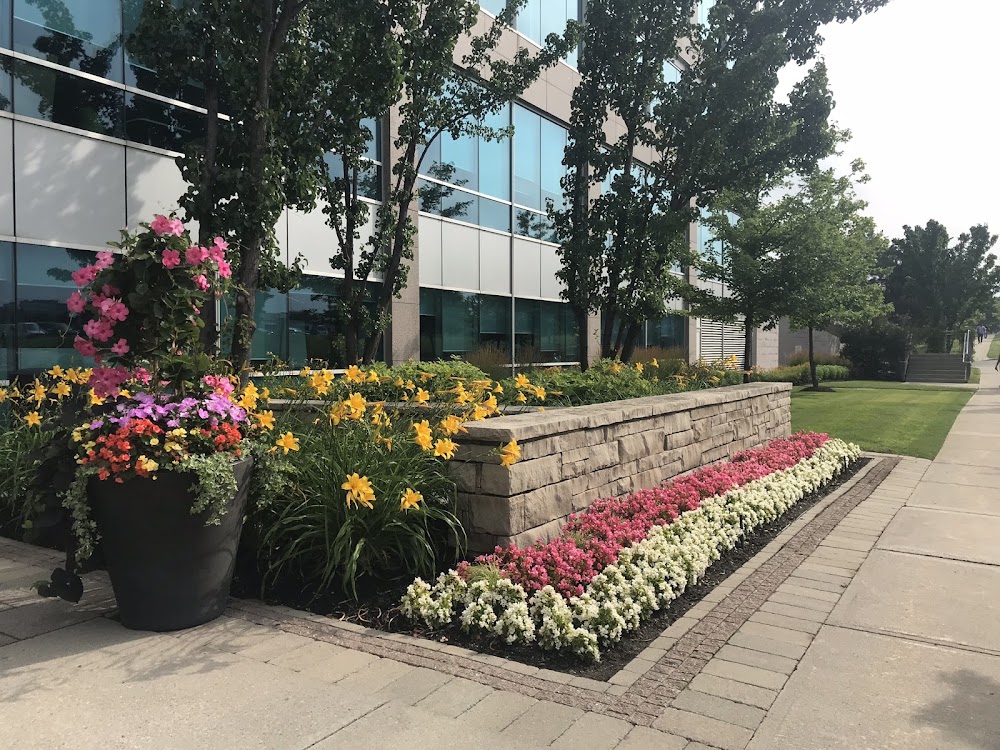 Beaver Landscaping and Gardening