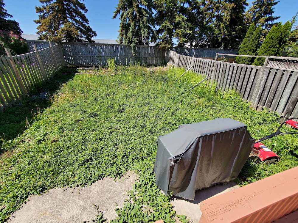 OAKLEAF Lawn & Landscape