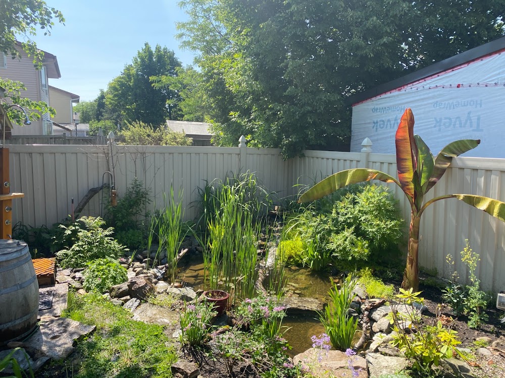 Knockout Landscapes Design & Maintenance