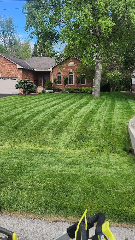 Hamilton Lawn Care