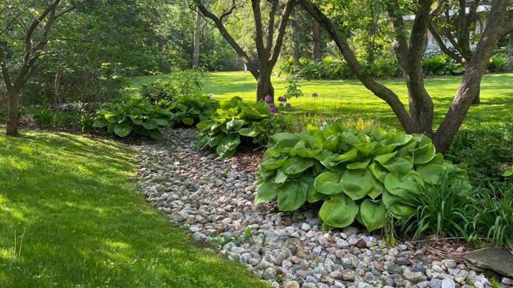 VP Landscape LTD