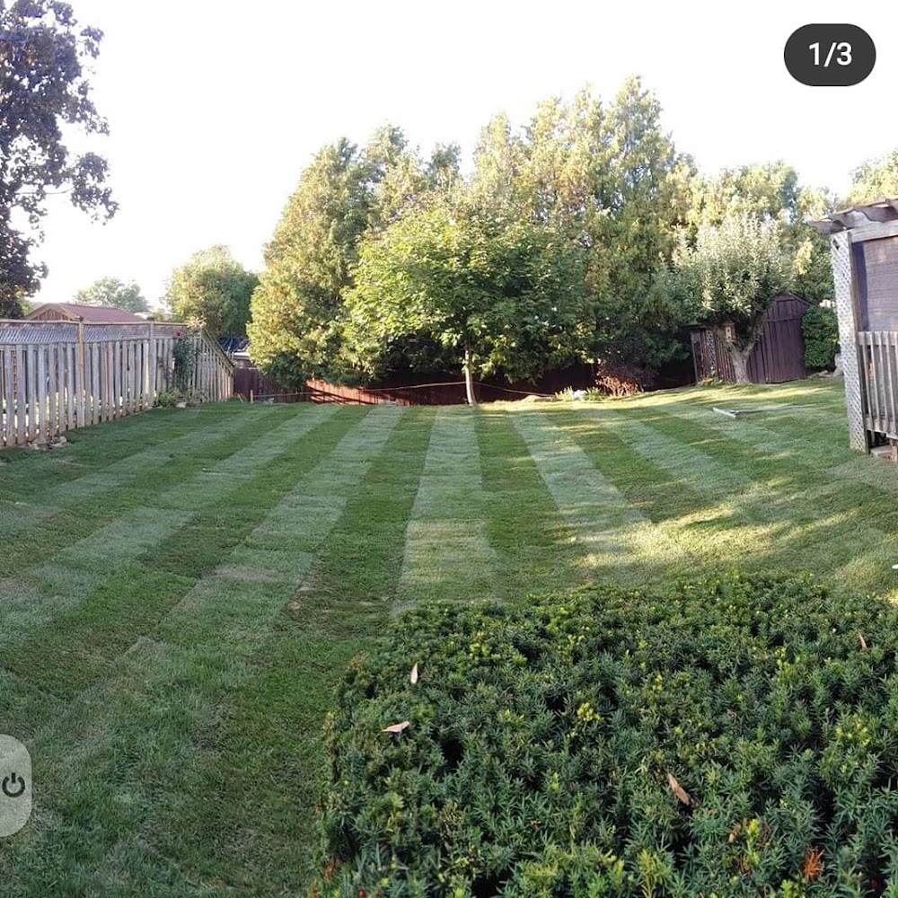 Beecroft & Sons Landscaping