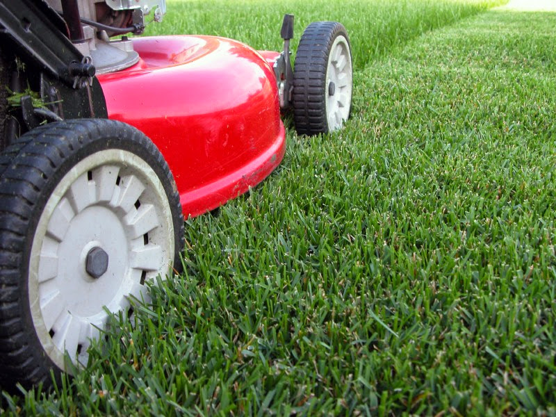 Dynasty Landscaping