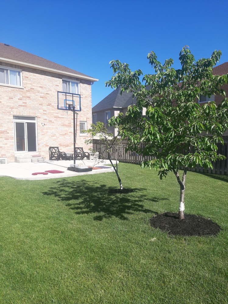 Exodus Landscaping