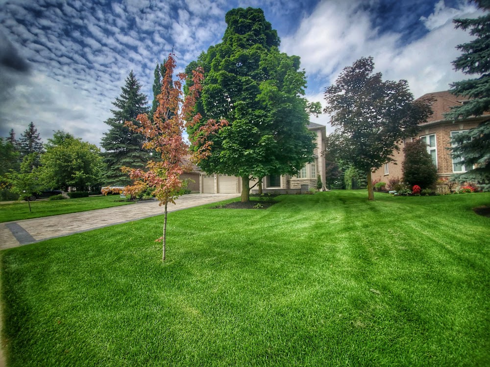 Sodding Vaughan- Lawn Replacement & Vaughan Landscaping