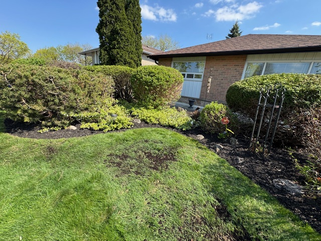 Oasis Lawns