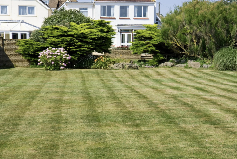 Toronto Lawn Mowing Solutions