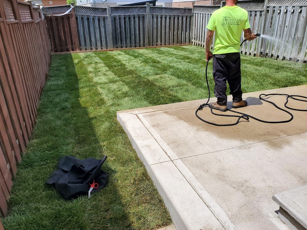 Forever Green Lawn & Landscape Inc