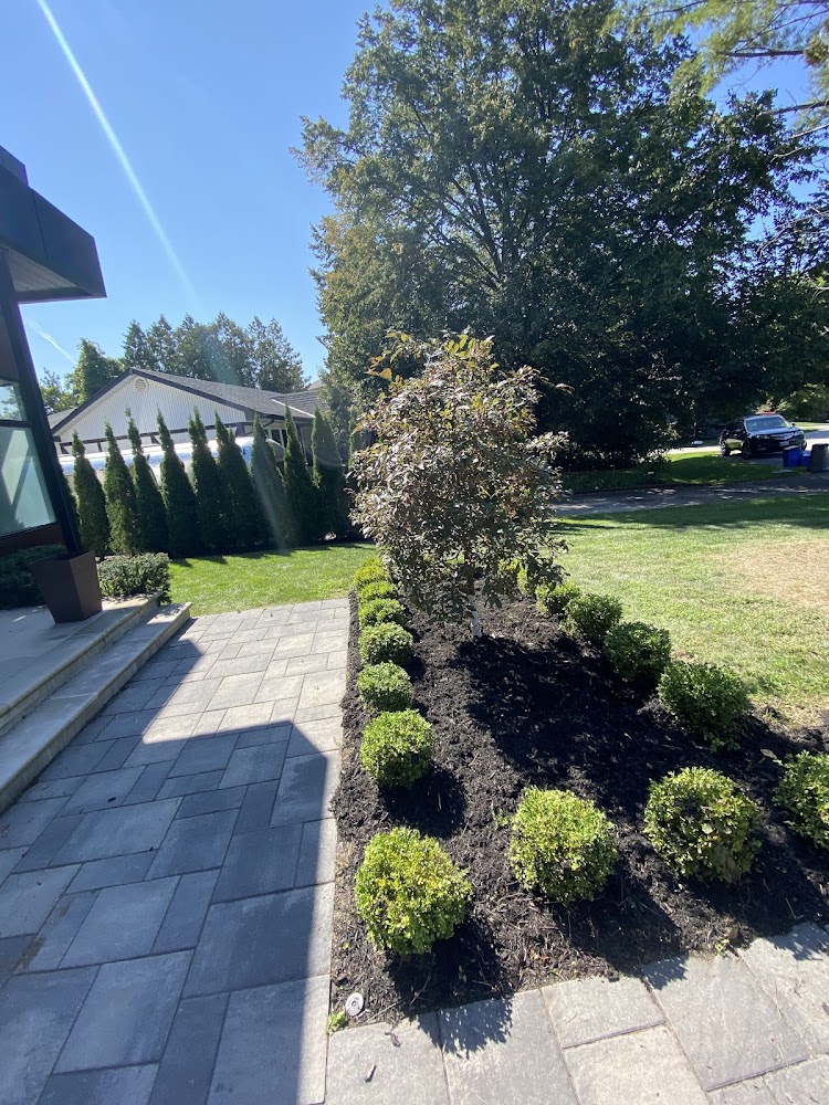 Leo's Landscaping Design & Build - A Student Team
