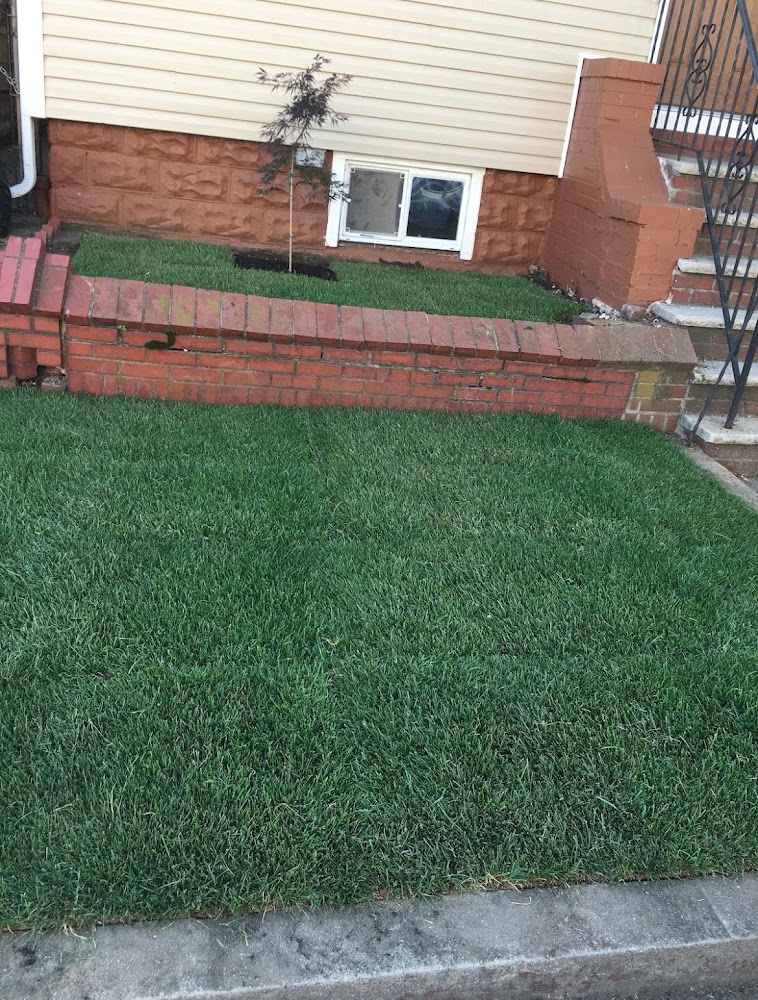 Donview landscaping Services Inc