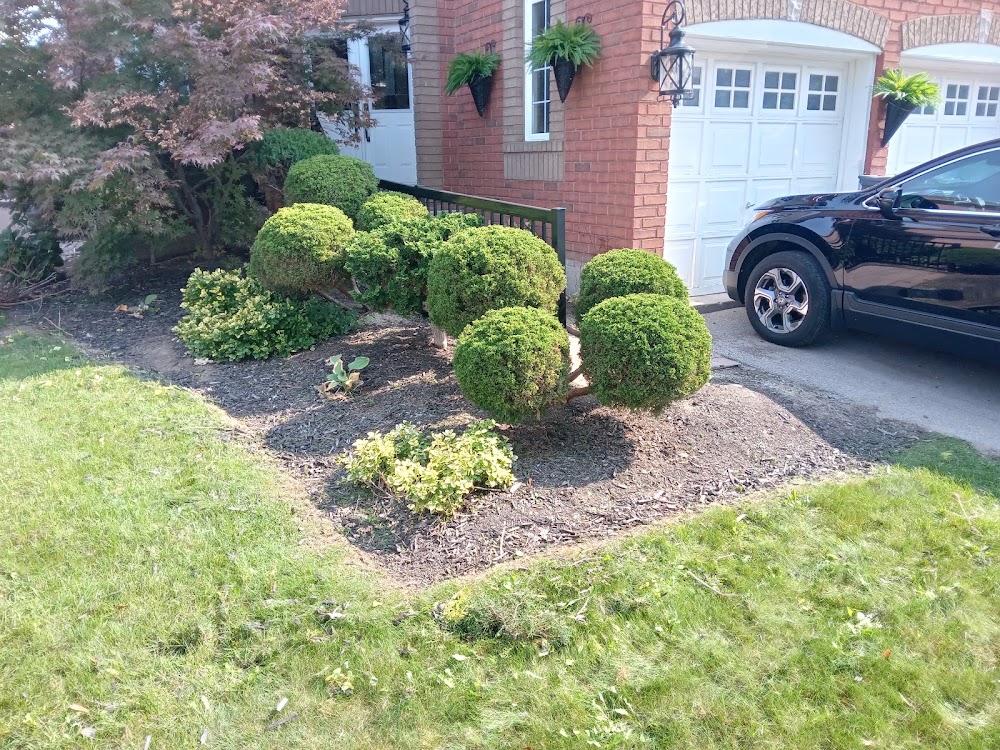 Witney's Landscaping & Snow Removal