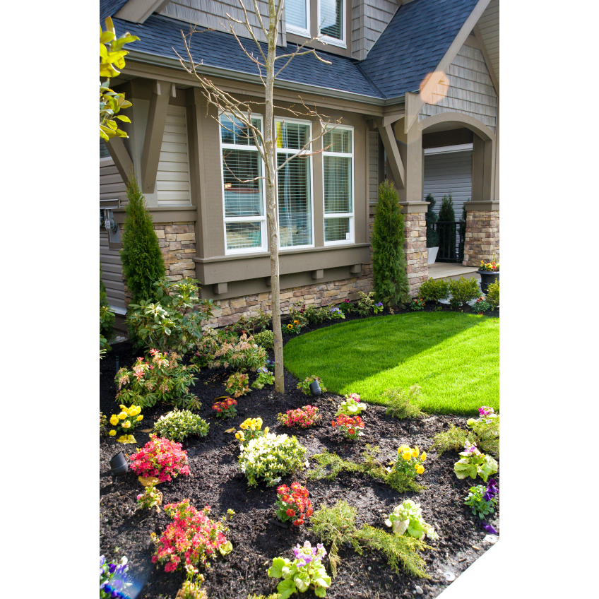 Innovative Landscaping