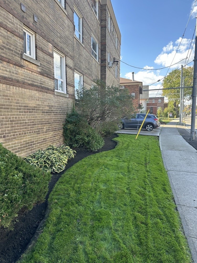 Yard Storm Services Inc.