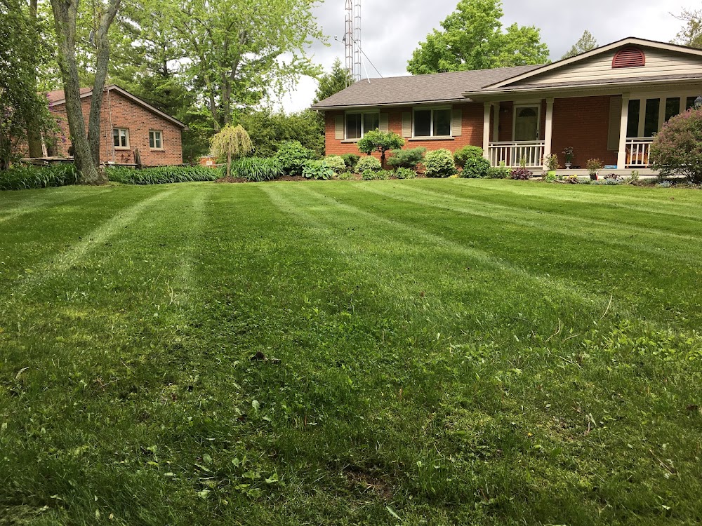 Walsh Property Service