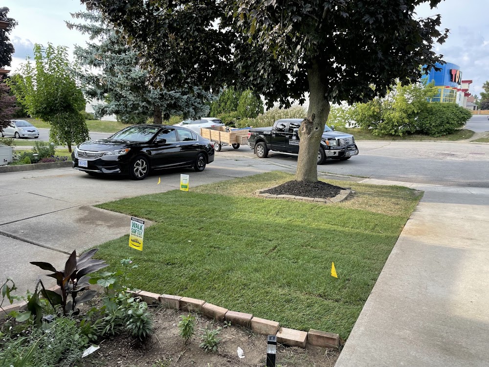 DGN Landscaping Services