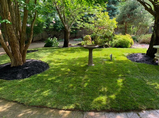 LAV Landscaping