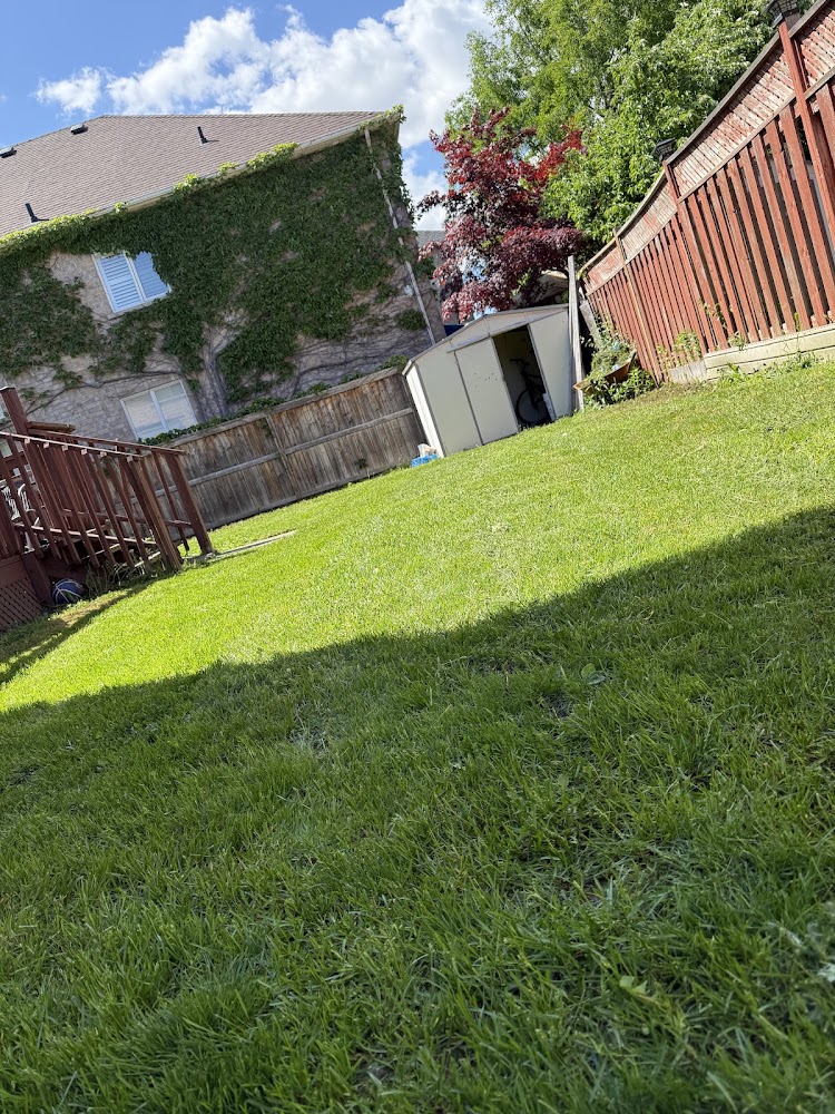 Apex landscaping