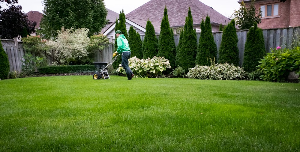 Hometurf Lawn Care