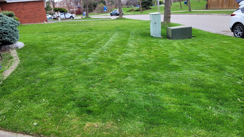 FreshMow Lawn Care