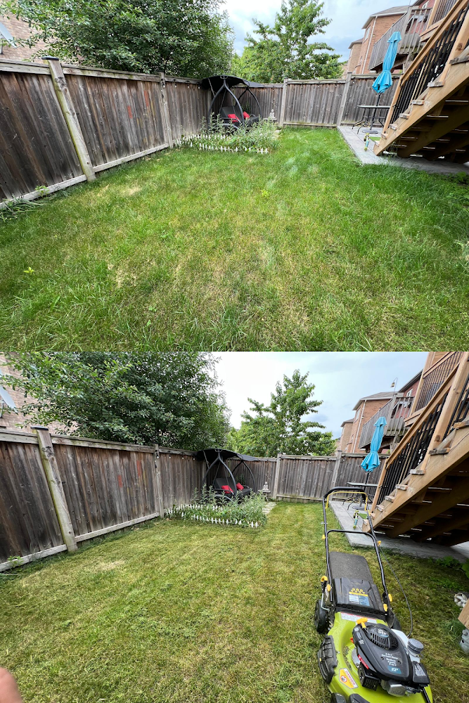 Elite yard maintenance