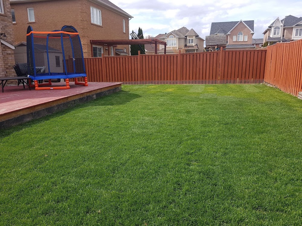 Triple-A Landscaping & Maintenance