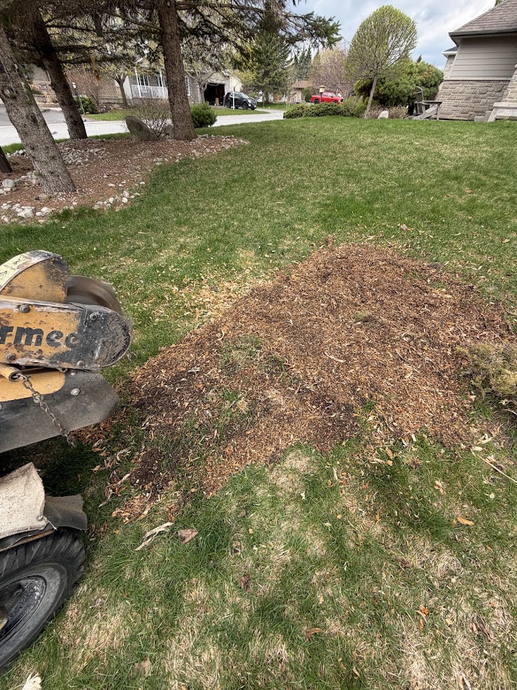 Stickman Stump Removal