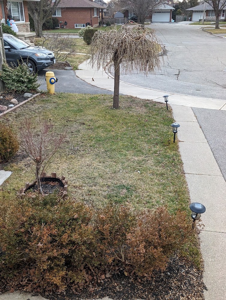 MDM Landscaping & Snow Removal