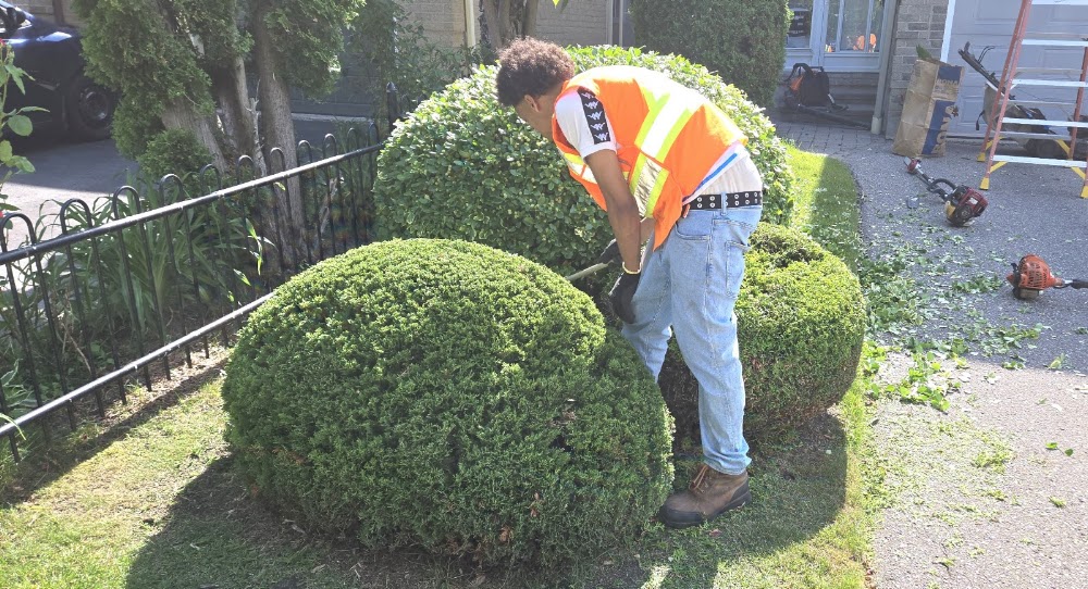 Delon Landscaping and Snow Removal