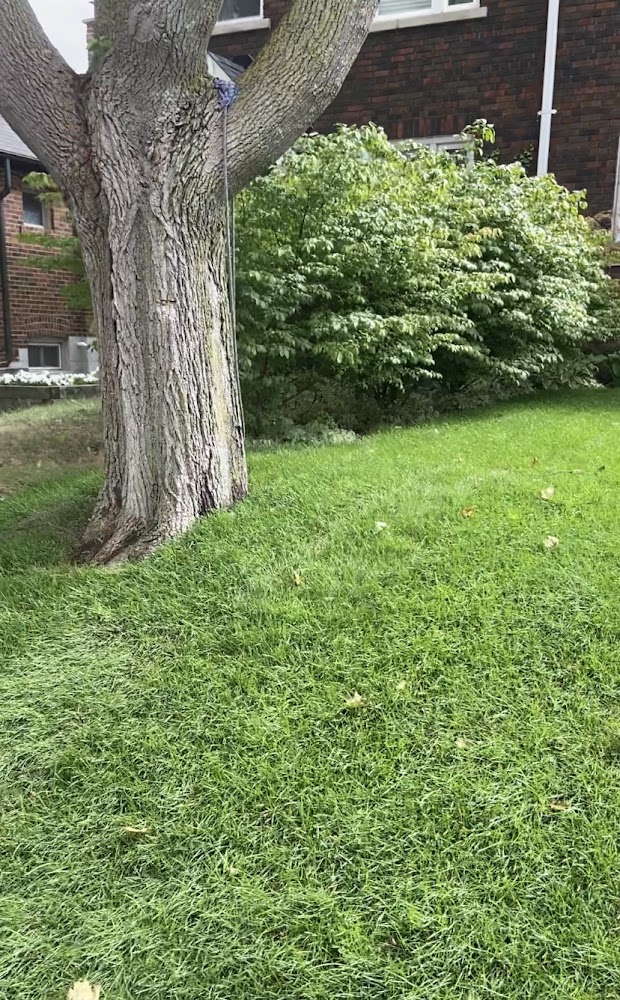 Laser Landscaping
