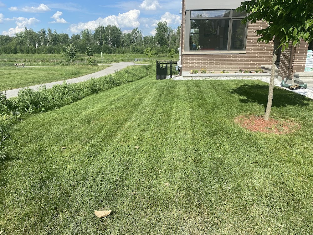 Jack's Outdoor Services