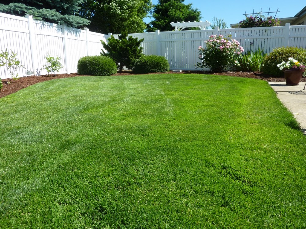 Hometown Lawn Care Hamilton