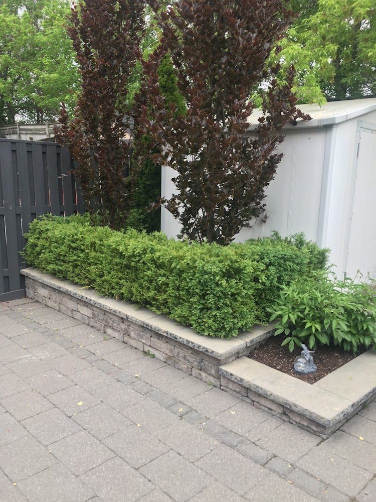 Top Green Landscaping Ltd