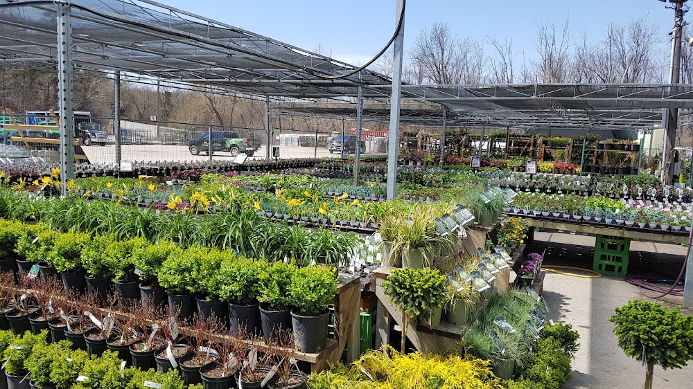 Lakeside Garden Gallery