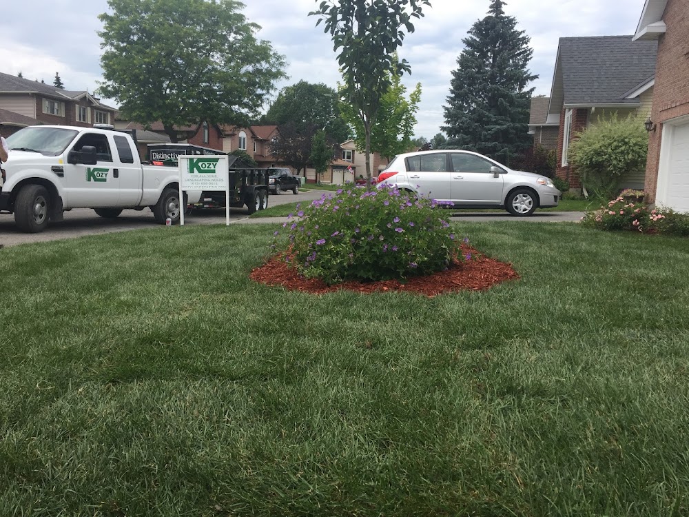 Kozy Landscaping Pools Renos