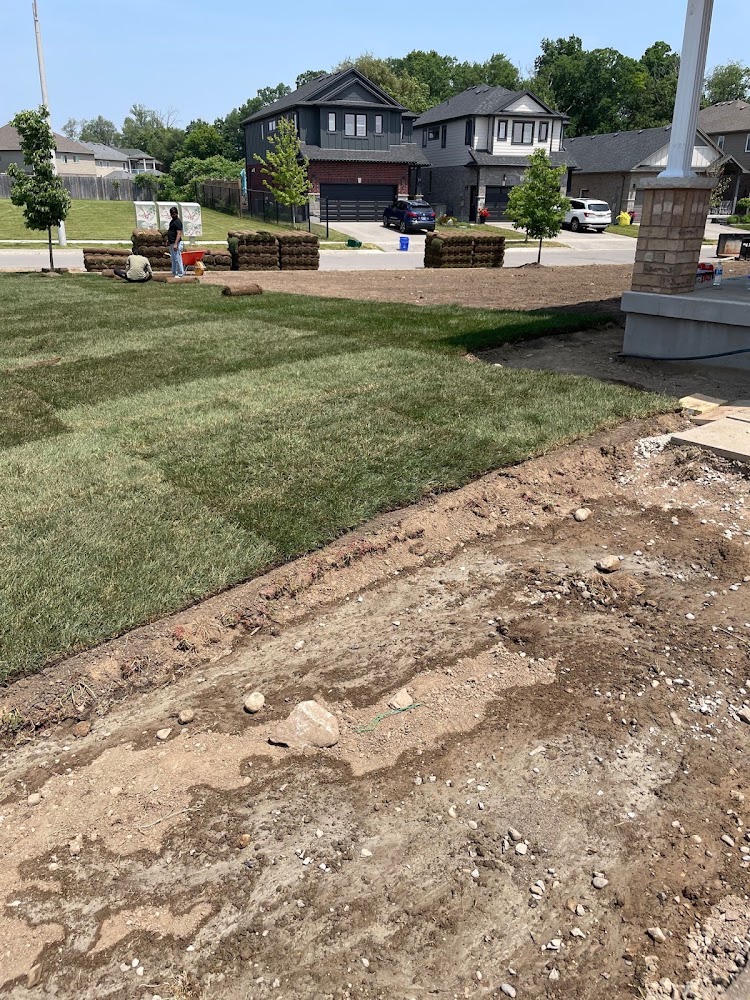 Botany Landscaping & Renovation