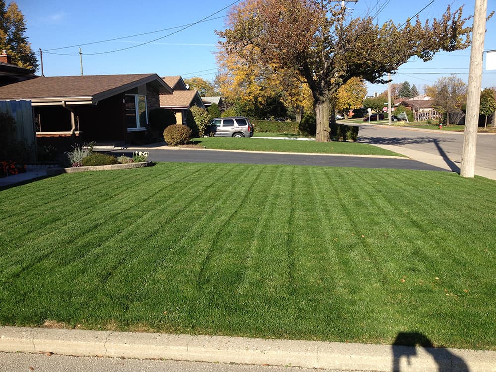 K.G.P Landscaping &Property Maintenance