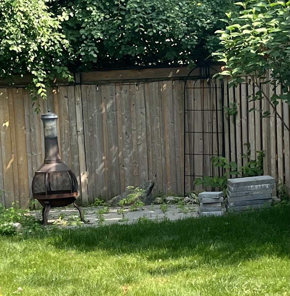 McCartney Landscaping Inc