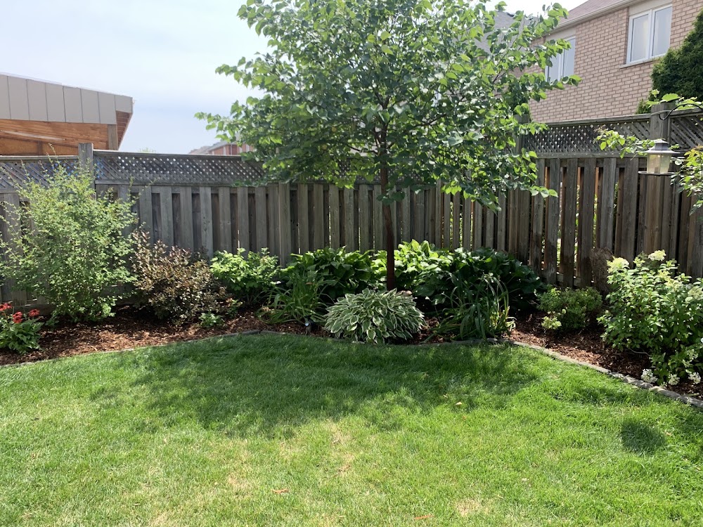 Lunovo Landscaping | Fences and Maintenance
