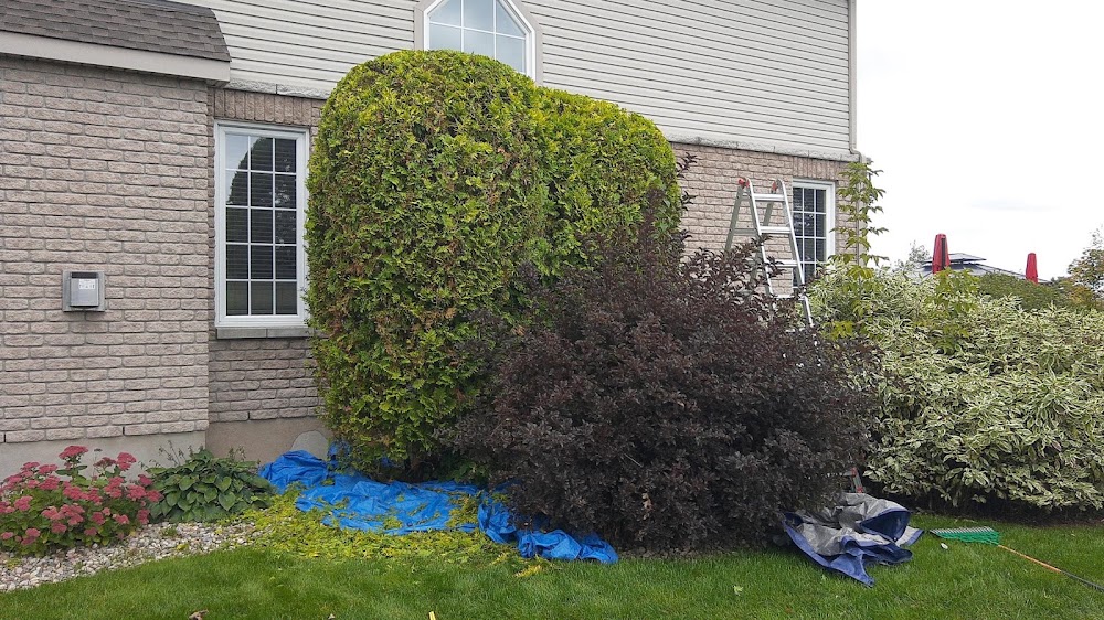 Precision Hedge and Landscaping Inc