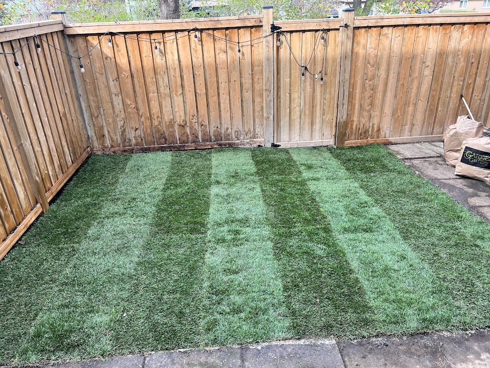 GREEN OASIS LANDSCAIPING AND SNOW REMOVAL