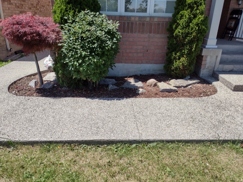 Toronto Yard and Garden