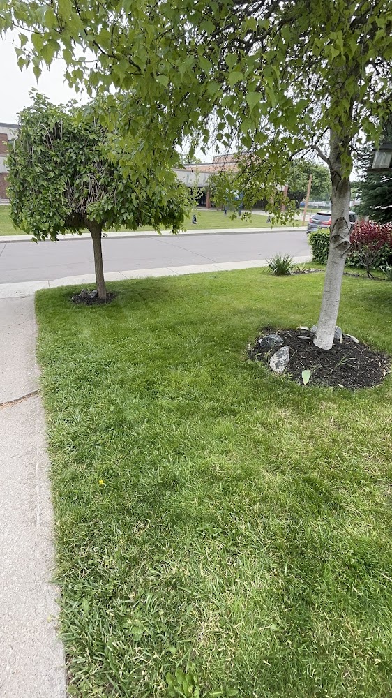 mow&go landscaping