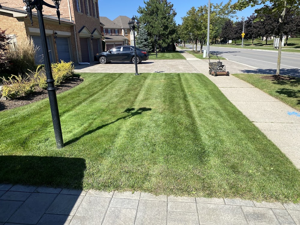 Servalawn Landscaping and Property Maintenance