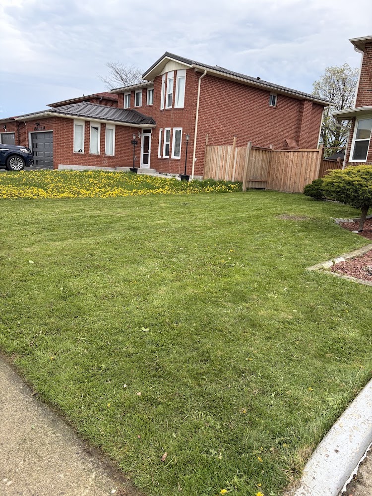 AP Landscaping