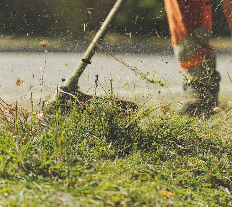 Grass Cutting Services Toronto